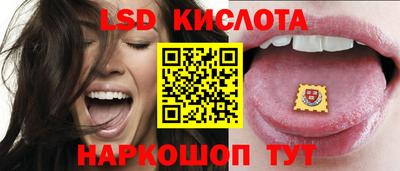 ПСИЛОЦИБИНОВЫЕ ГРИБЫ Берёзовский