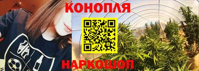 ГАЛЛЮЦИНОГЕННЫЕ ГРИБЫ Бийск