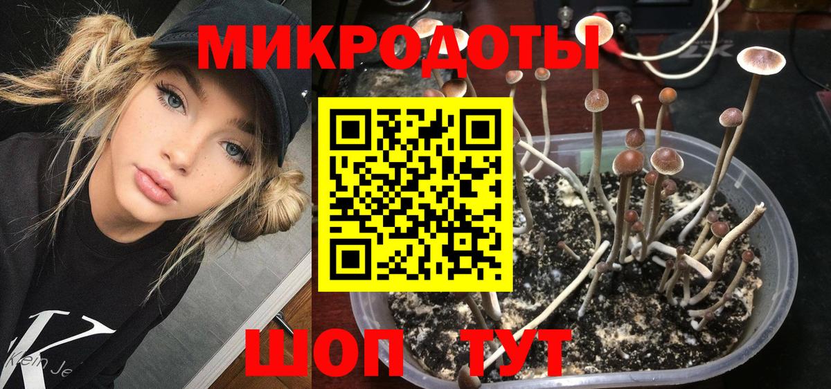 Зеленогорск  Псилоцибиновые грибы ЛСД  Вход с VPN  Псилоцибиновые грибы MAGIC MUSHROOMS 
